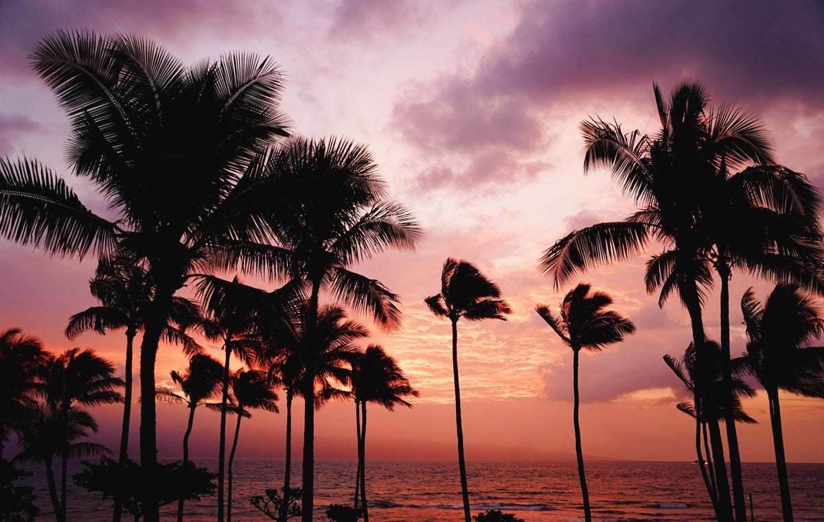 The Best Times To Visit Hawaii in 2024 [By Seasons & Islands]