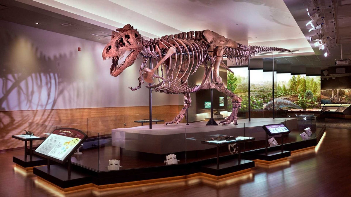 Free Tickets for Bank of America Cardholders With Museums on Us